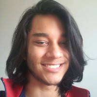 Julio Cesar Monteiro Alves