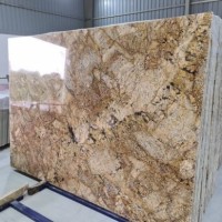Sophia Silogranites