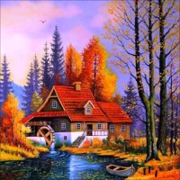 Amit K.
