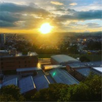 Alvaro Nicolas Cortes Palma