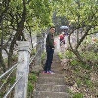 邓正涛