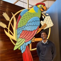 Girish Gaya