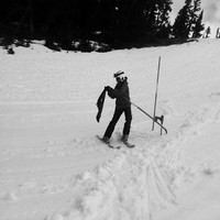 Alison Vollet