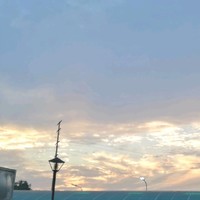 朱凯民