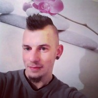 steve mees