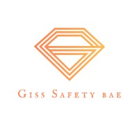 GLOBAL INTELLIGENCE SECURITY SOLUTION SL