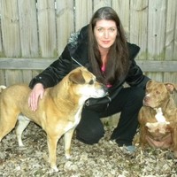 Dawn Bailey