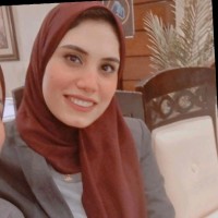 Dina Amin