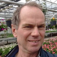 Kees Versluis