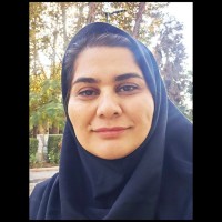 Somayeh Niknam