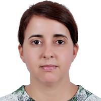 Nissrine Salem