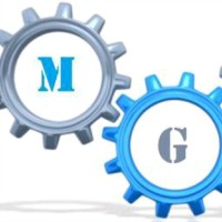 Marcelo Gomez Arellano