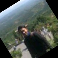 Mr. Dinh