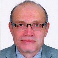 Amr M A Amin Metwally