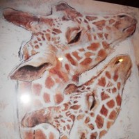 LA SAVANE LE TOUQUET