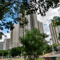 Gleysoncarvalh Gleysoncarvalho