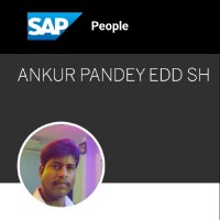 Ankur Pandey