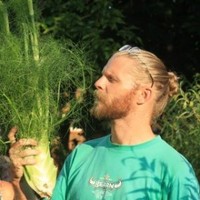 Vincent Lafitte