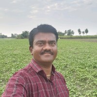 Sakkravarthi P