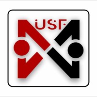 Unique Sales Force