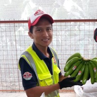 Angel Muñoz Arias
