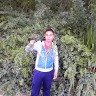 wael dbebria