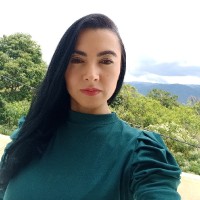 DINA M. CUBILLOS ROMERO