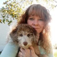 Sheryl Murphy
