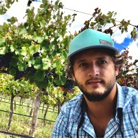 Rodrigo Lazcano