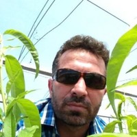 Metin Ala