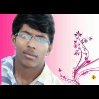 Krishna Raj