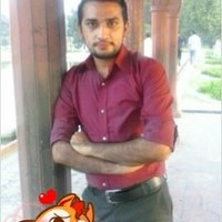 M. Faisal Majeed