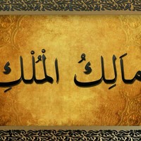 alsayed abdelsalam