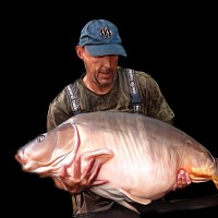 Steve Hartry