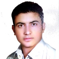 Reza Mirzaei
