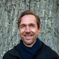 Mats Törnvall
