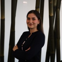 Ece Barlas