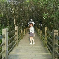 邹金花