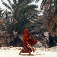 Lamyaa Alshgiran