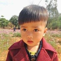 赖景明