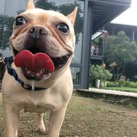 施雯斌