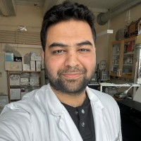 Noman Fassih