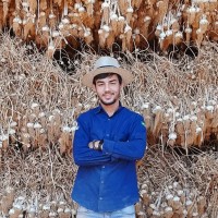 Tiago Marques Ananias