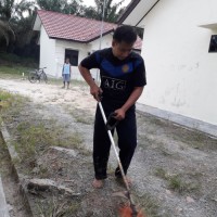 Dwi Ardi