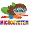 MICRO SYSTEM