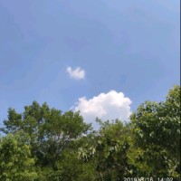 王小刀
