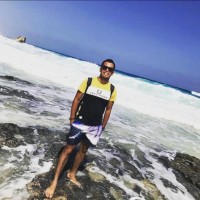 Ahmed Samir Salem Abu Elmaaty