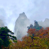 Ruihua Lu