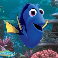 Dory Dory