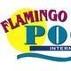 Flamingo Pools